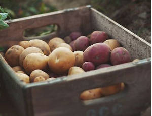 Cistella de productes